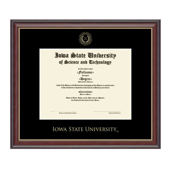 Church Hill Classics Embossed Seal Doctoral Diploma Frame #5